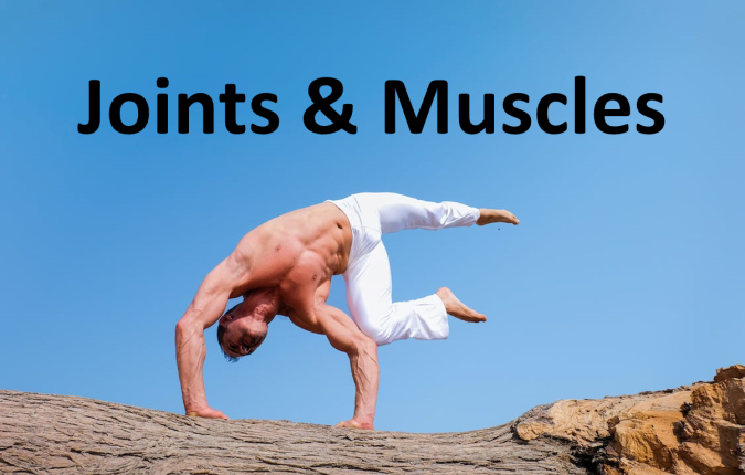 Kundeservice i verdensklasse.