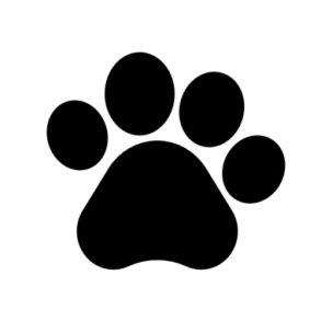 Plejeprodukter til Dyr