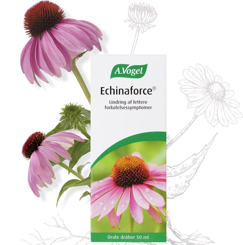 A. Vogel Echinaforce – 50 ml.