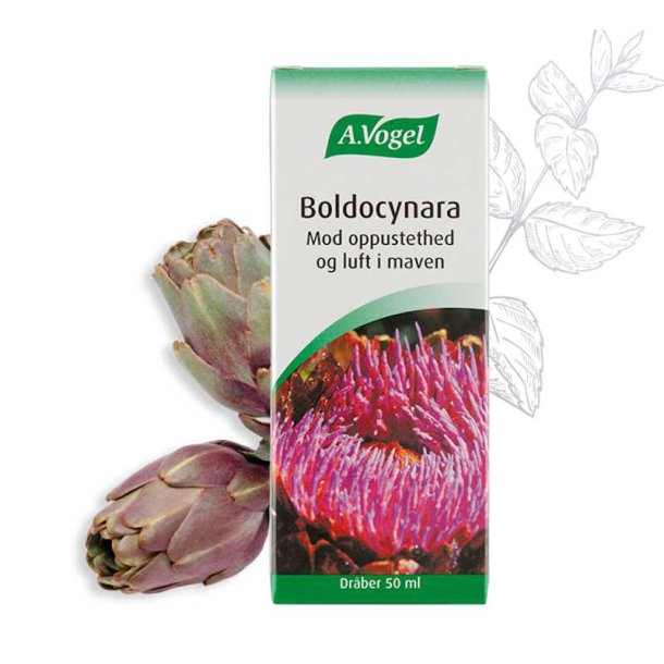 A.Vogel Boldocynara Drber - 50 ml.