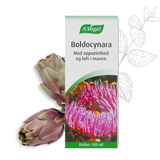 A.Vogel Boldocynara Drber - 100 ml.