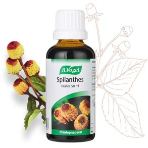 A.Vogel Spilanthes Mundskyl - 50 ml.