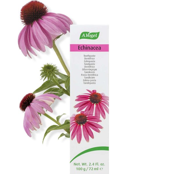 A.Vogel Echinacea Tandpasta - 100 g.