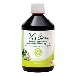 Vita Biosa Ginger  - 500 ml.