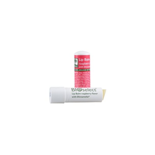 Bioselect Lbepomade Hindbr - 4 g