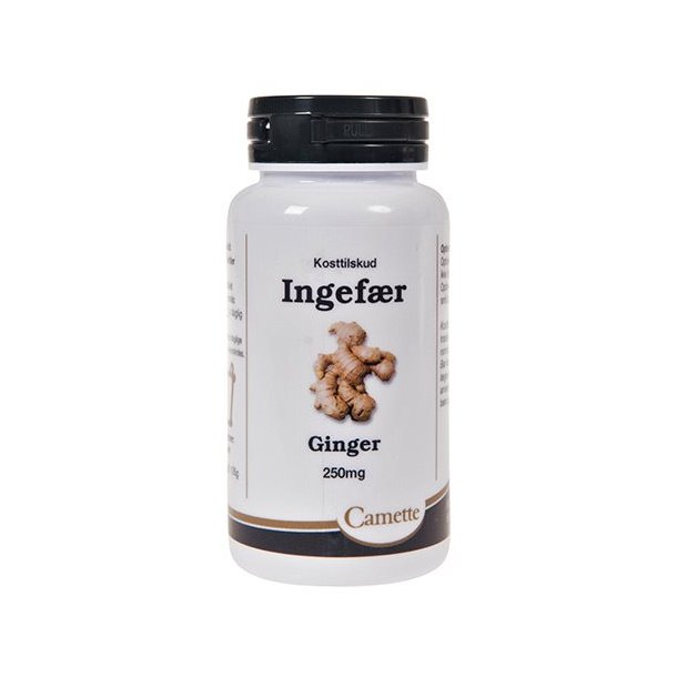 Camette Ingefr - 140 tab.