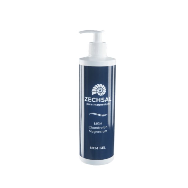 Zechsal MSM Gel - 500 ml.